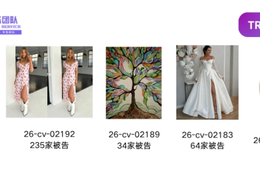 谁说盗图没成本？89张图告了376家店！有卖家一夜被冻几十万！！