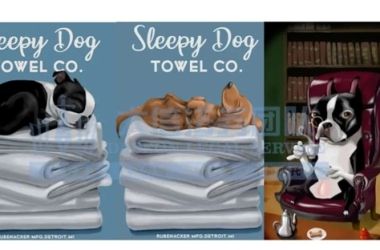 版权画侵权案激增，接连发起TRO，禁止使用可爱小狗，植物插画！