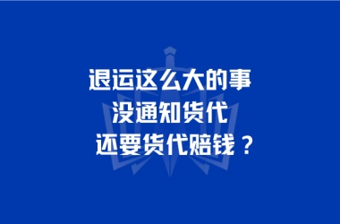 退运这么大的事，没通知货代还要货代赔钱？