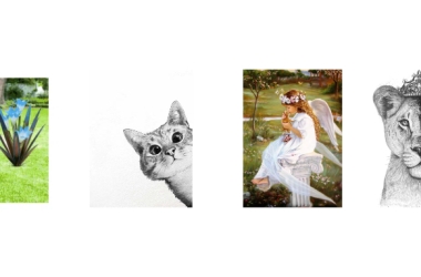 Keith最近杀疯了！一天连发3案，15张可爱天使宝宝、猫咪插图，下证就维权！另人造植物竟然也有专利？！卖家抓紧避雷呐~